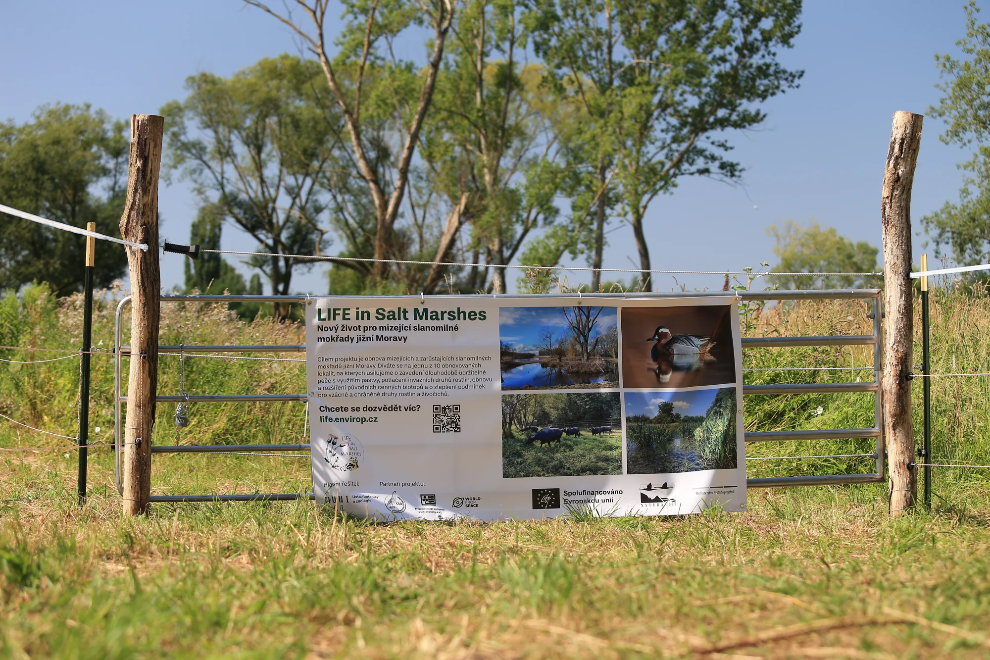 A project banner at Husí pastviště.