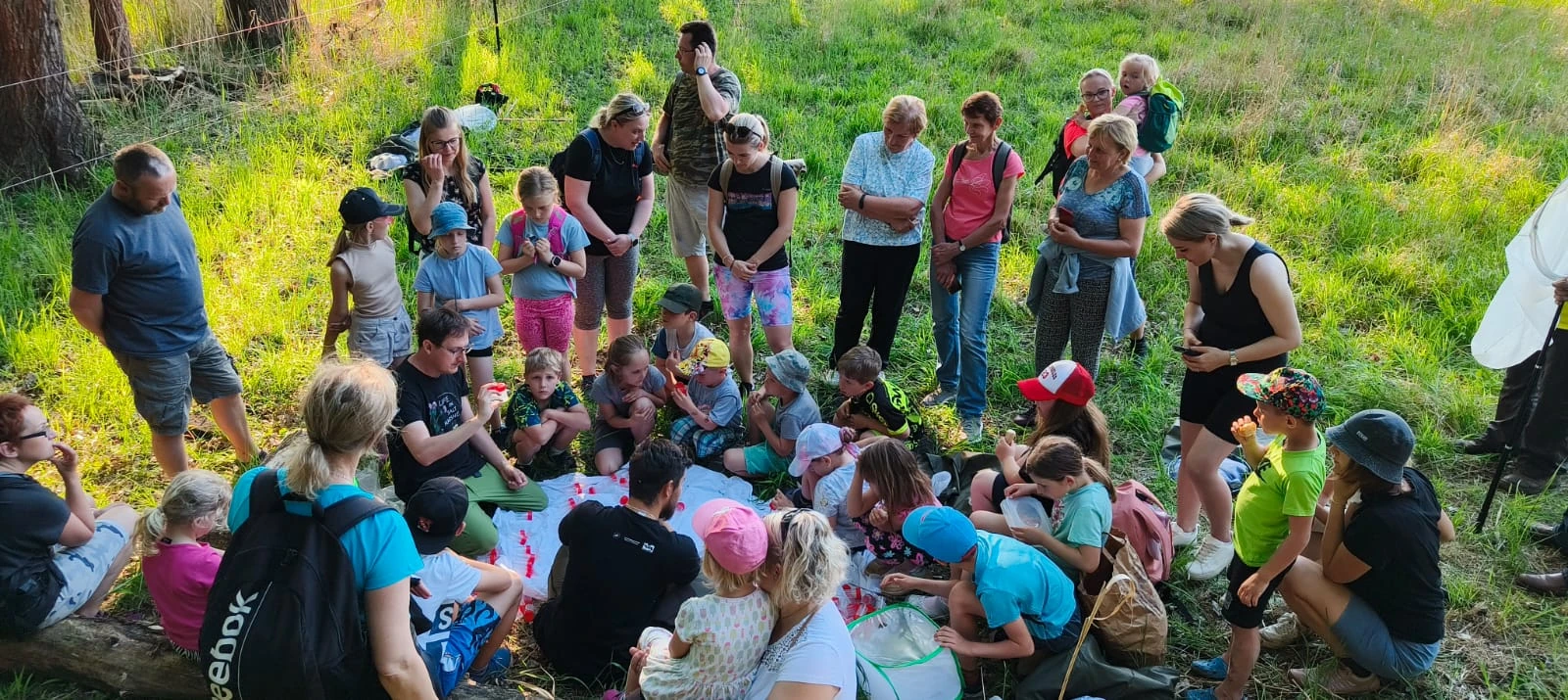 An insect excursion at Vrbovecký rybník, 2025.