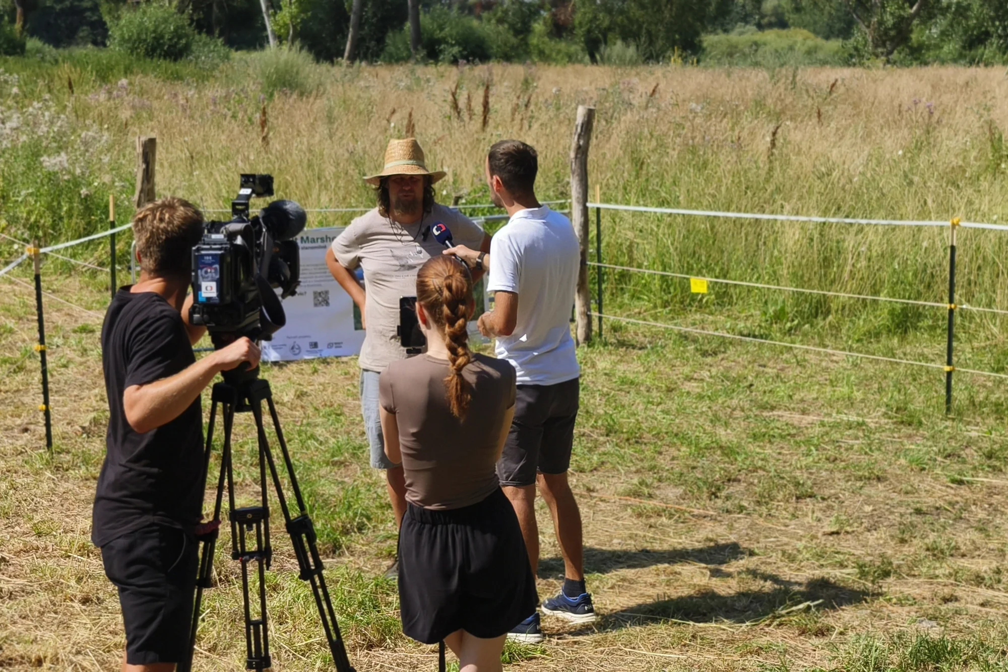 Czech Television filming at Husí pastviště on the day the water buffalo arrived – the first site in South Moravia to host them.