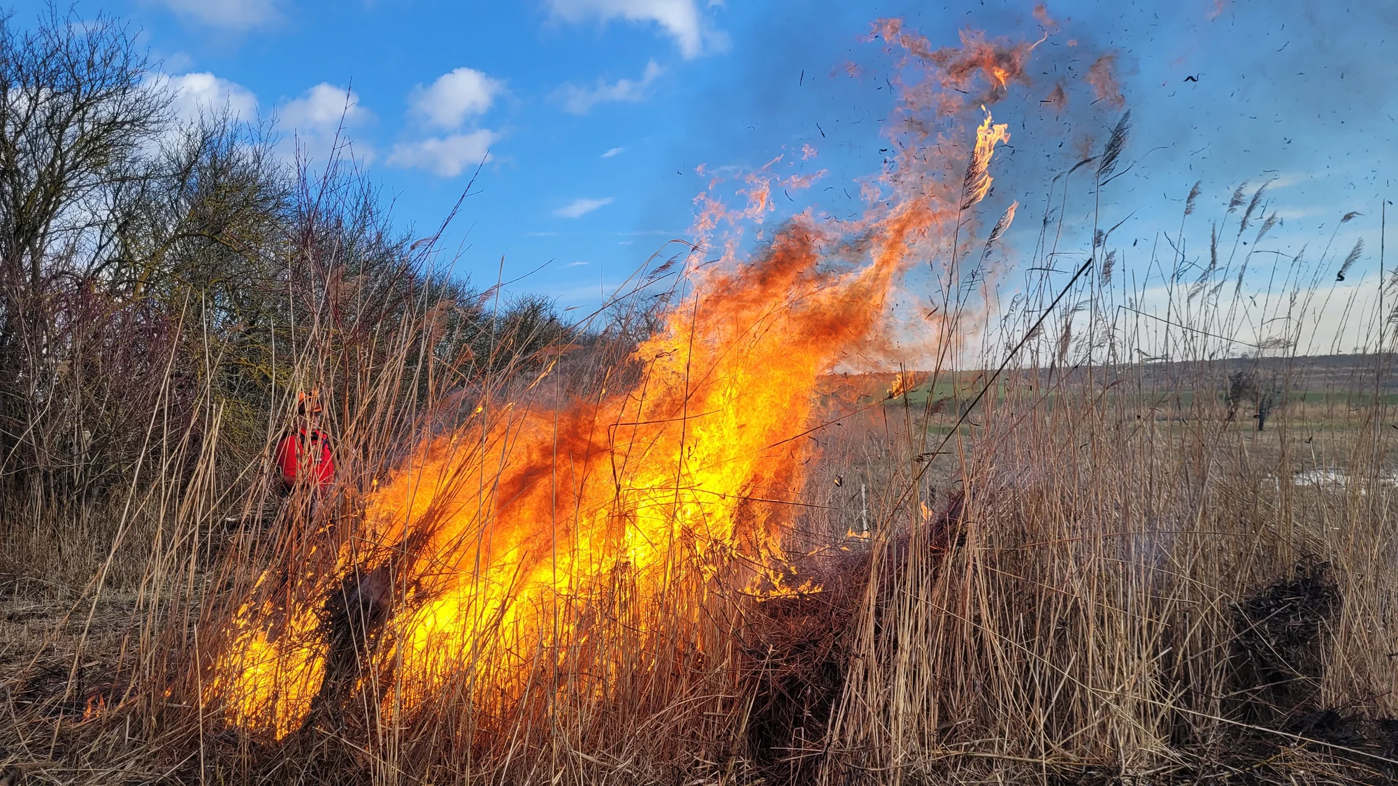Burning
