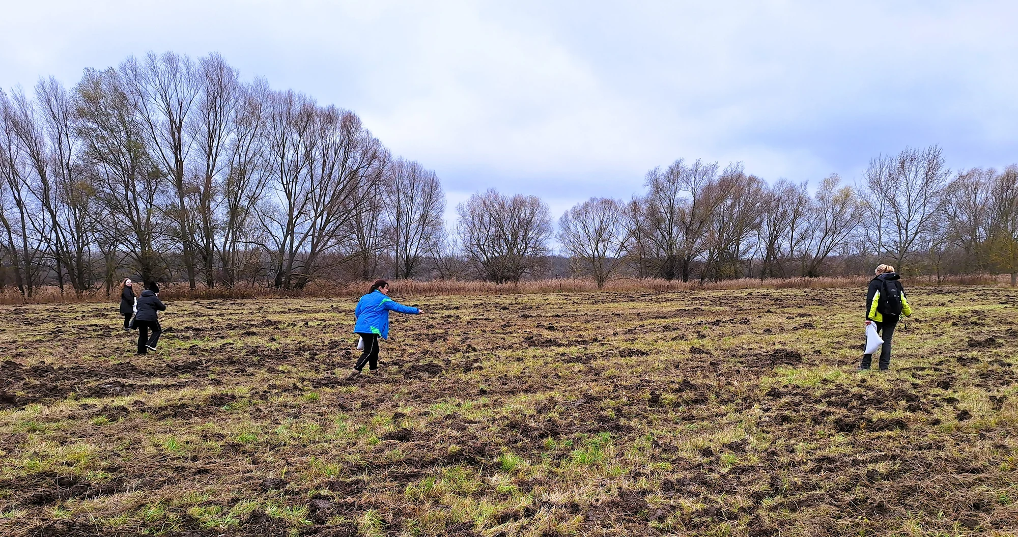Sowing regional seed mixes