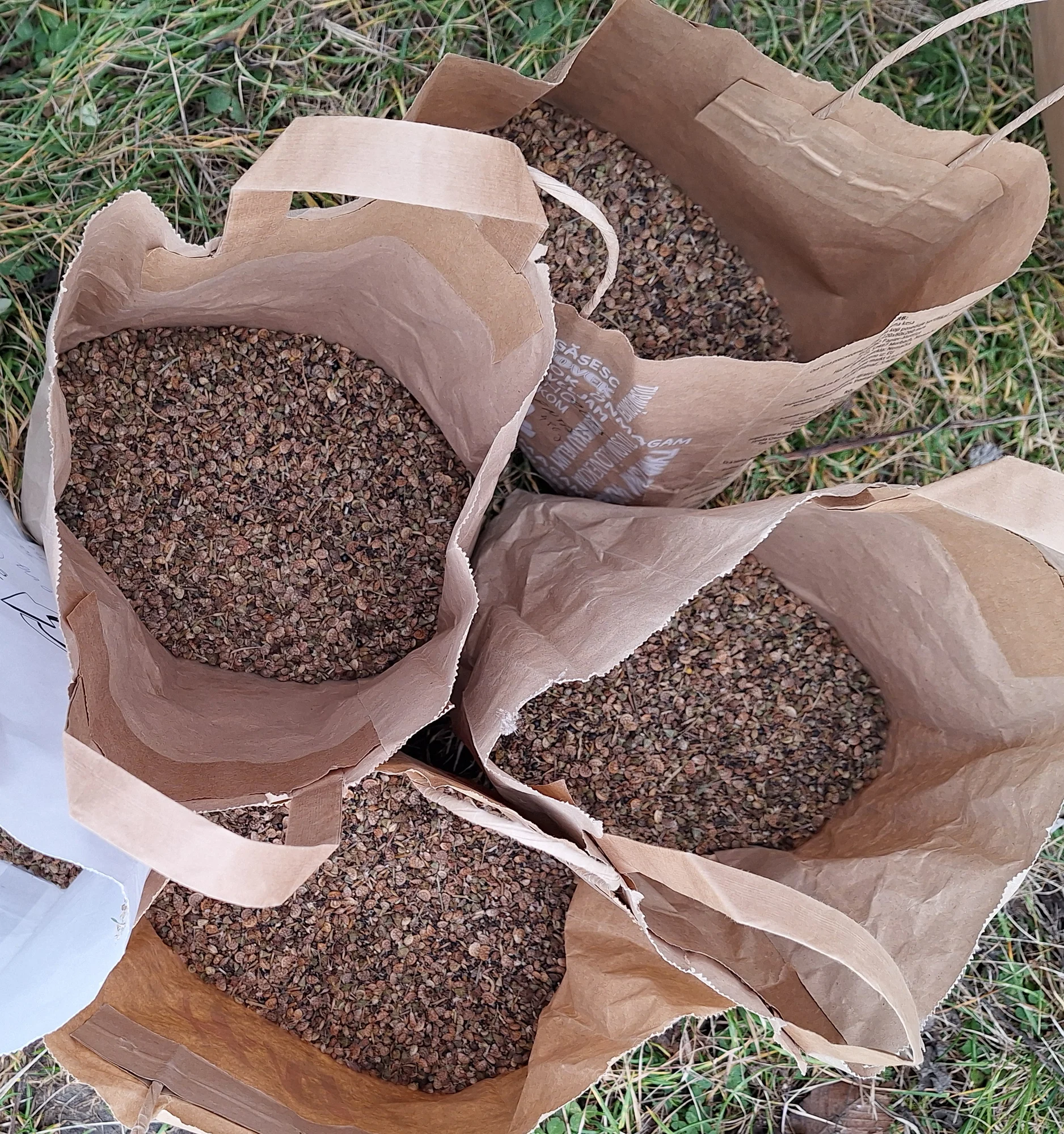 Sowing regional seed mixes