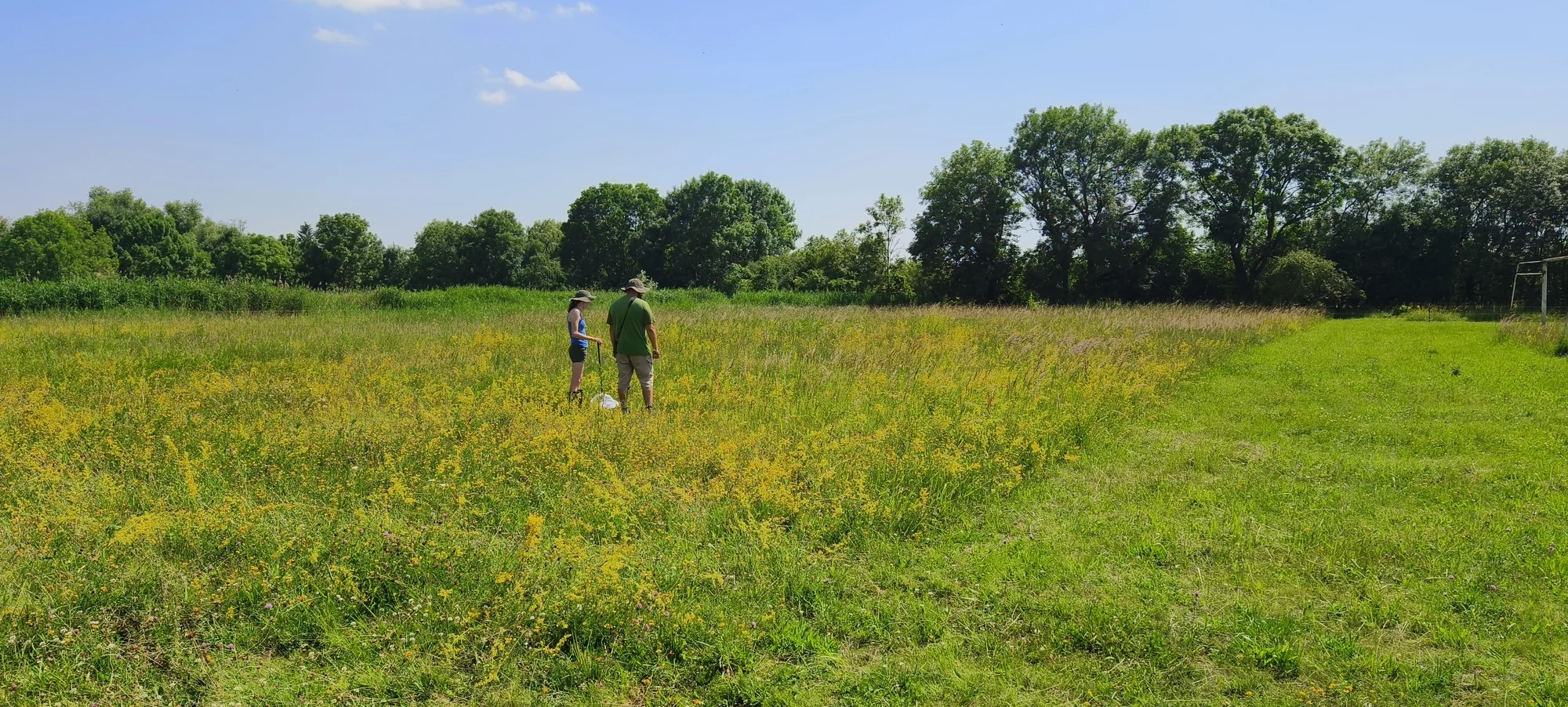 Regular field surveys