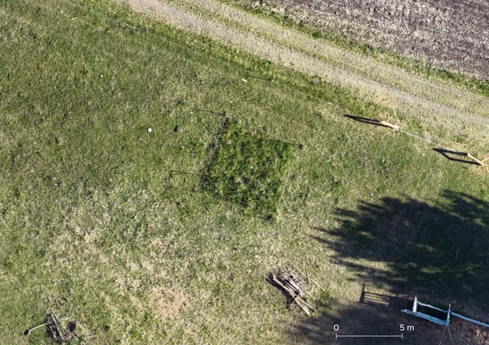 A permanent plot at Vrbovecký rybník, seen from a drone. Scale bar: 5 m.